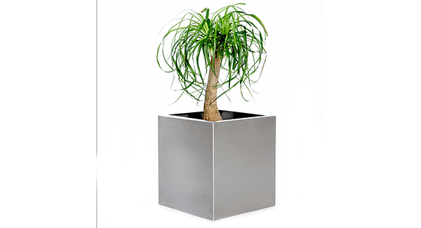 CUBO - VQ300